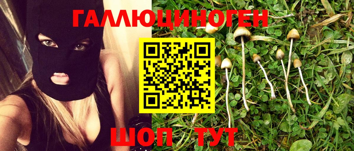 Галлюциногенные грибы Cubensis Майкоп